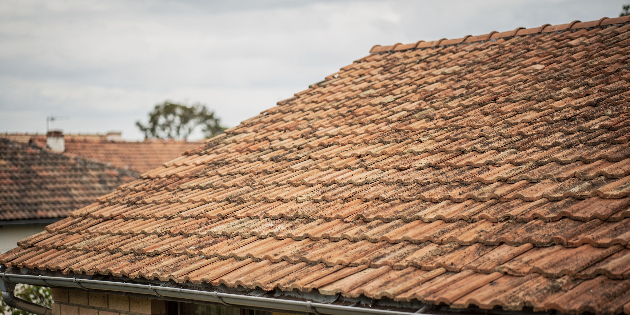 Katon korjaus variables[width=2048,height=1024,description=Photorealistic image from medium distance (showing some surroundings) of clay tile roof OR a metal sheet roof (choose one). Not too detailed. Natural daylight. No people, no text, no logos]