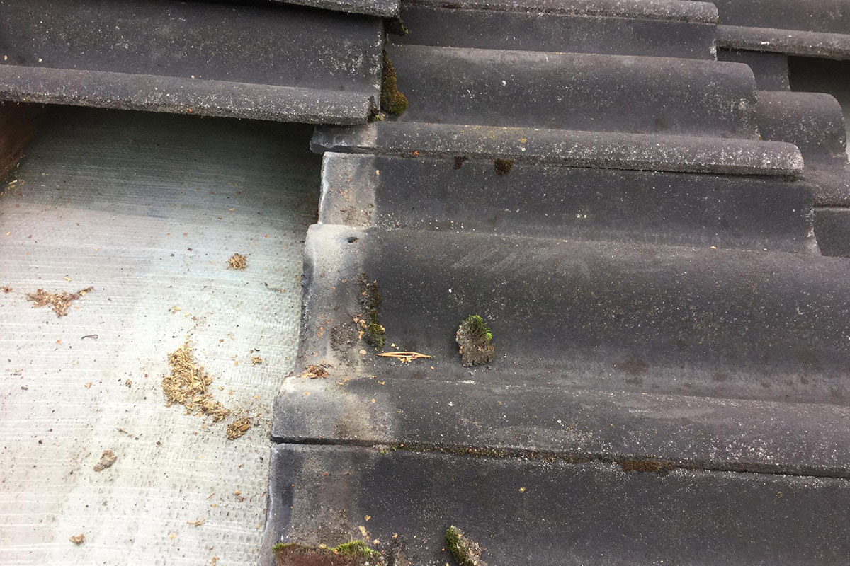 Tiilikaton korjaus Artjärvellä – tiilien vaihdosta kattavampiin remontteihin 