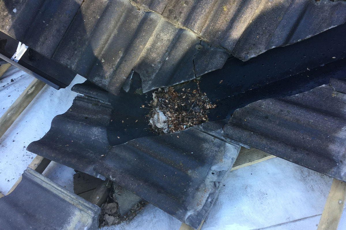 Aluskatteen korjaukset Hauhossa – ratkaisut kosteusongelmiin ja rakenteiden suojaksi 